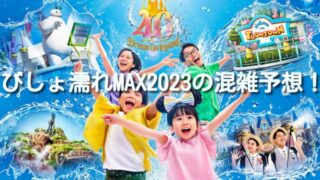 ディズニー　びしょ濡れMAX　2023